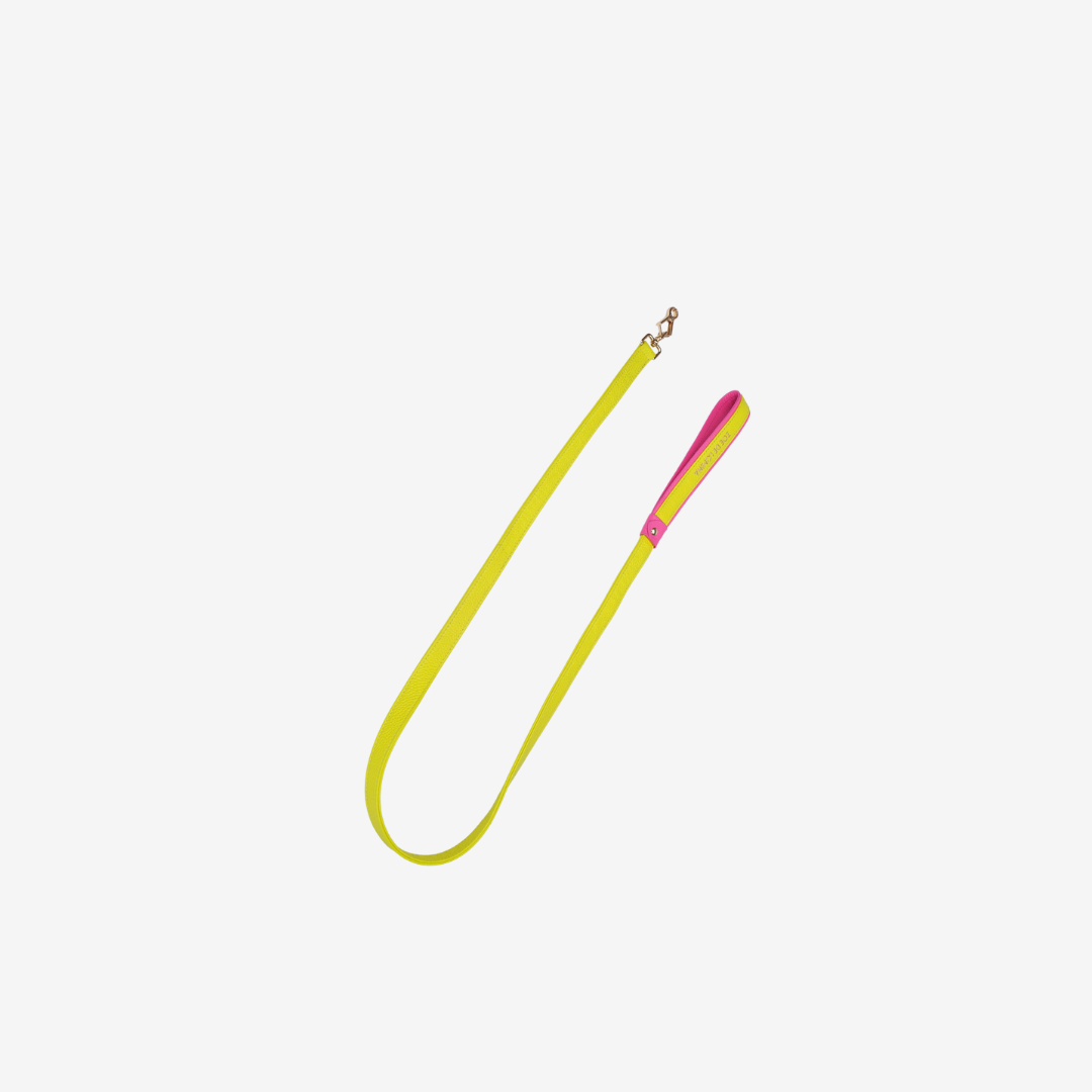 KLASSE14 ペットリード Pets Leash (Yellow) – KLASSE14